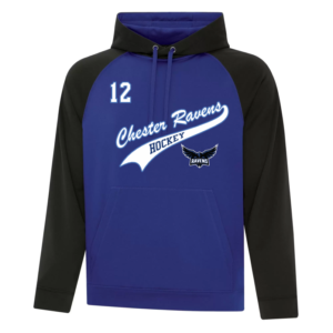 Game Day Hoodie (Swoosh)