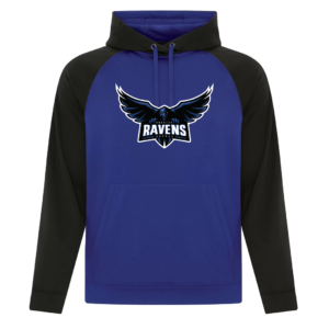 Game Day Hoodie (Raven)
