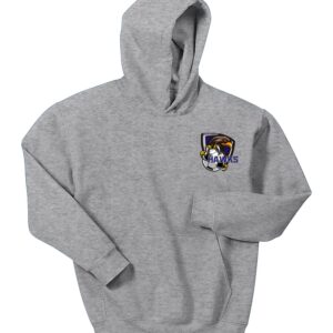 Youth Hoodie (left-chest)