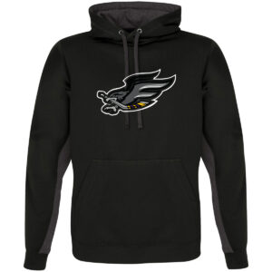 Game Day Hoodie (Falcon)