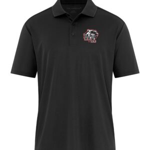 Polo (1)